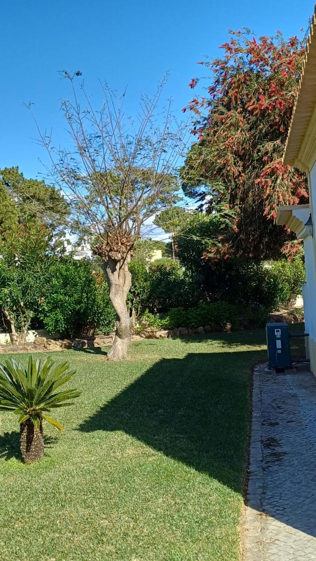 The Pinewood Villa Vilamoura Exterior foto