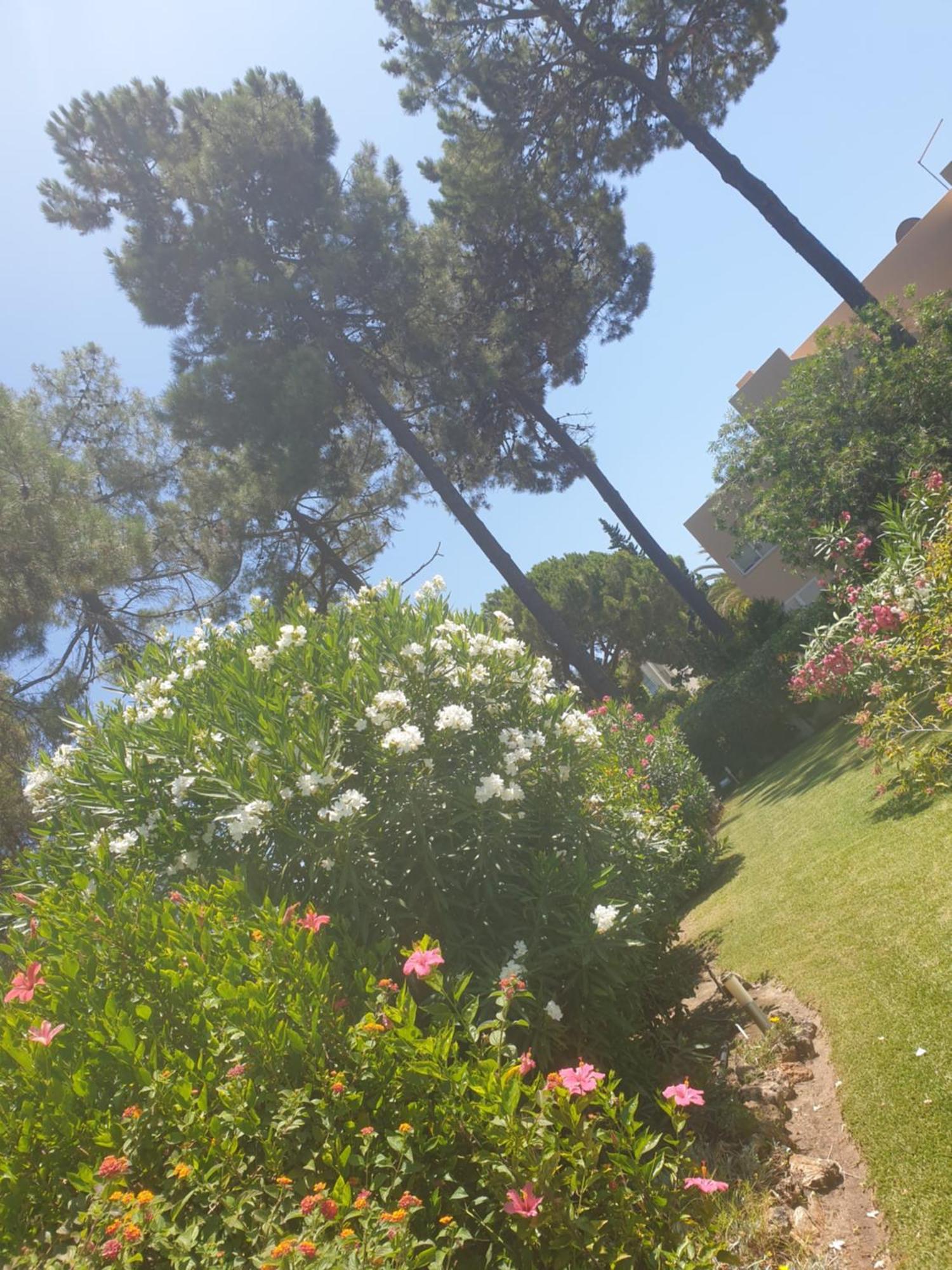 The Pinewood Villa Vilamoura Zimmer foto